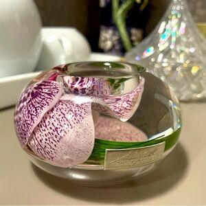 EMILIO ROBBA SPOTTED PHALAENOPSIS T-LIGHT - SMALL SIZE